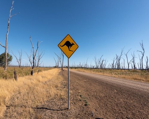 Mechanical kangaroo running through a digital outback in the fictional Iron Roo Run game